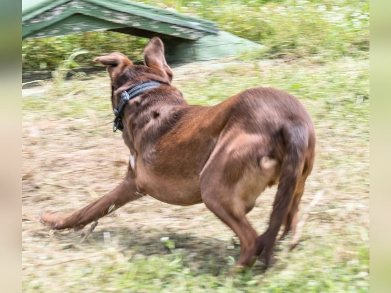 Pablo – fit trotz Handicap