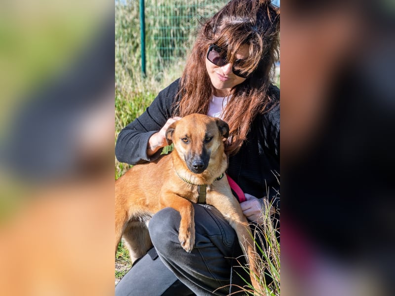 Pepper – ein kleines Sensibelchen