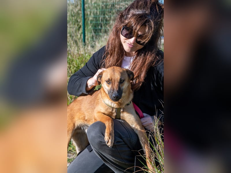 Pepper – ein kleines Sensibelchen
