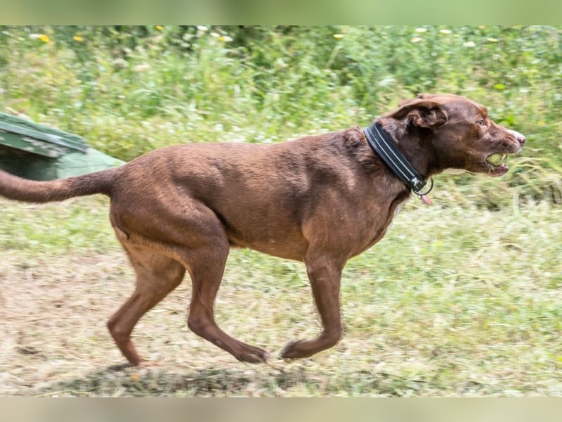 Pablo – fit trotz Handicap
