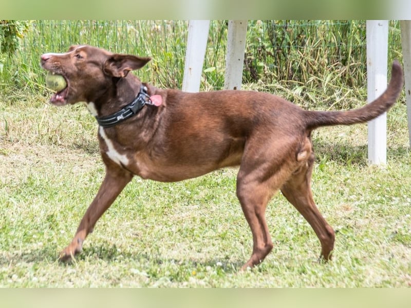 Pablo – fit trotz Handicap