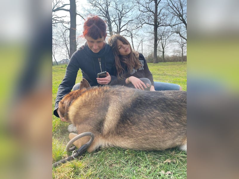 Rüde Loki, 3 Beine und ein großes Herz