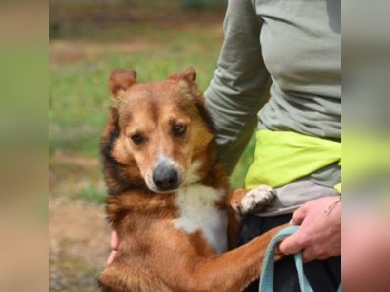 TOM-Softie auf der Suche nach der passenden Couch!