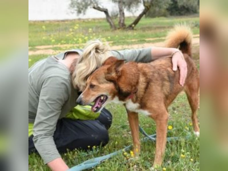 TOM-Softie auf der Suche nach der passenden Couch!