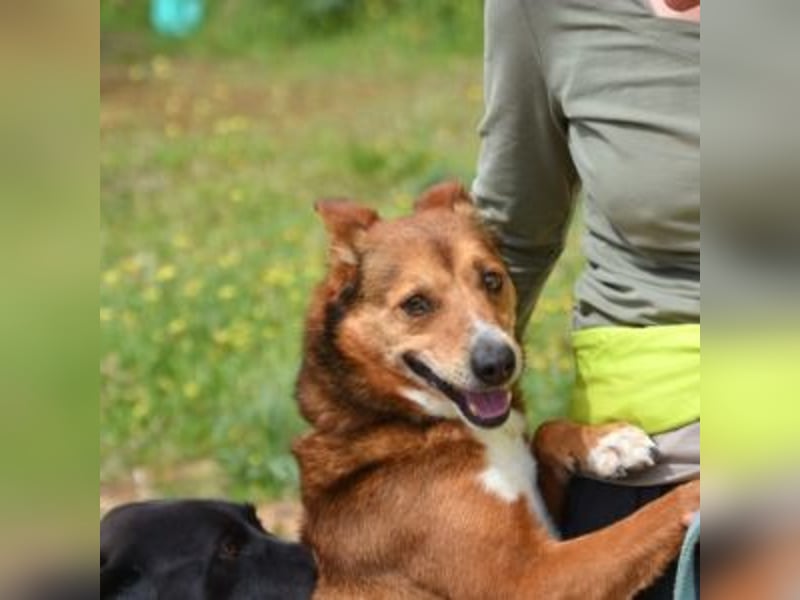 TOM-Softie auf der Suche nach der passenden Couch!