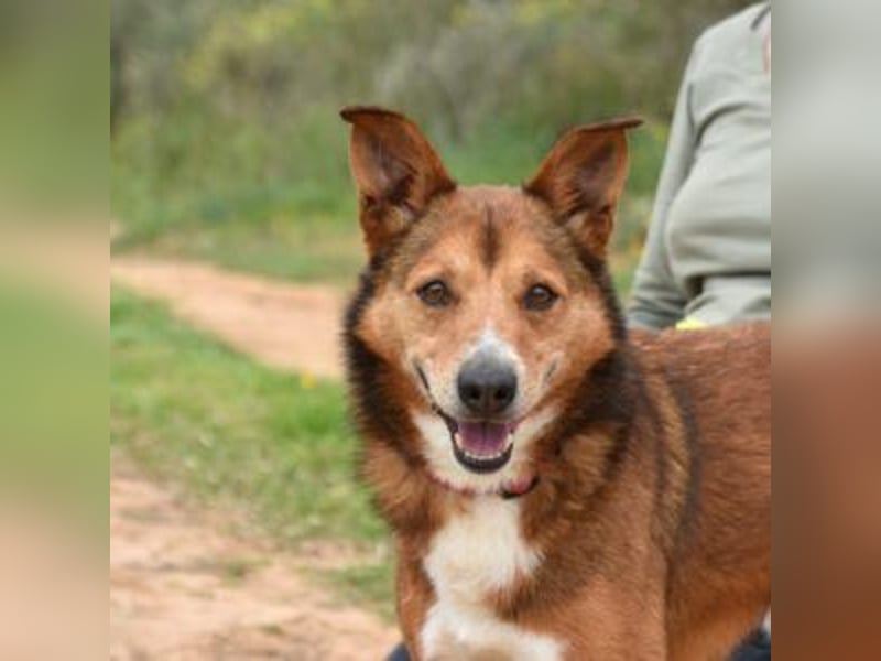 TOM-Softie auf der Suche nach der passenden Couch!