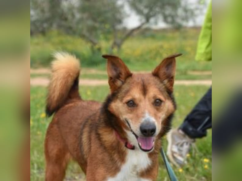 TOM-Softie auf der Suche nach der passenden Couch!