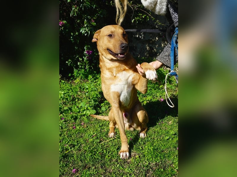Jangolino sucht ein neues Zuhause