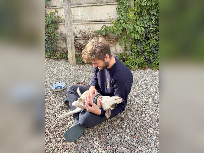 Süßer Leo sucht sein Zuhause