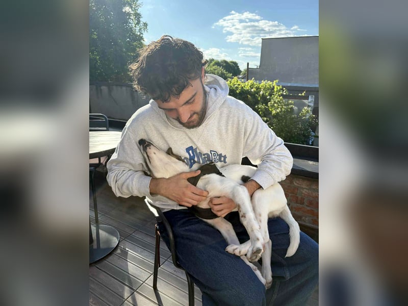 Süßer Leo sucht sein Zuhause