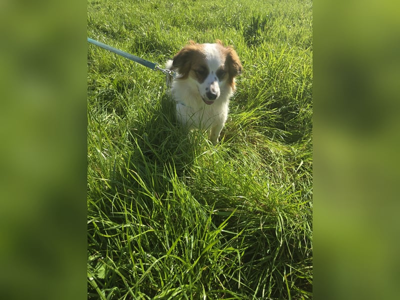 Darf Ze Sie mit seinem Blick überzeugen?