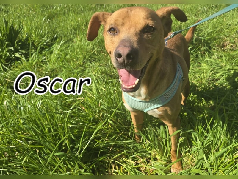 Umarmen Sie Oscar?