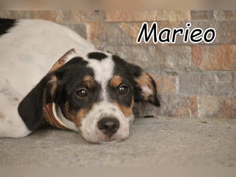 Haben Sie Lust mit Marieo die Welt zu entdecken?