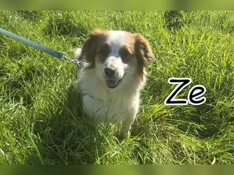 Darf Ze Sie mit seinem Blick überzeugen?