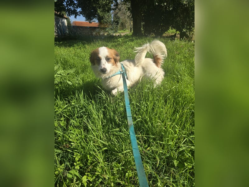 Darf Ze Sie mit seinem Blick überzeugen?