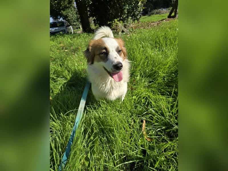Darf Ze Sie mit seinem Blick überzeugen?