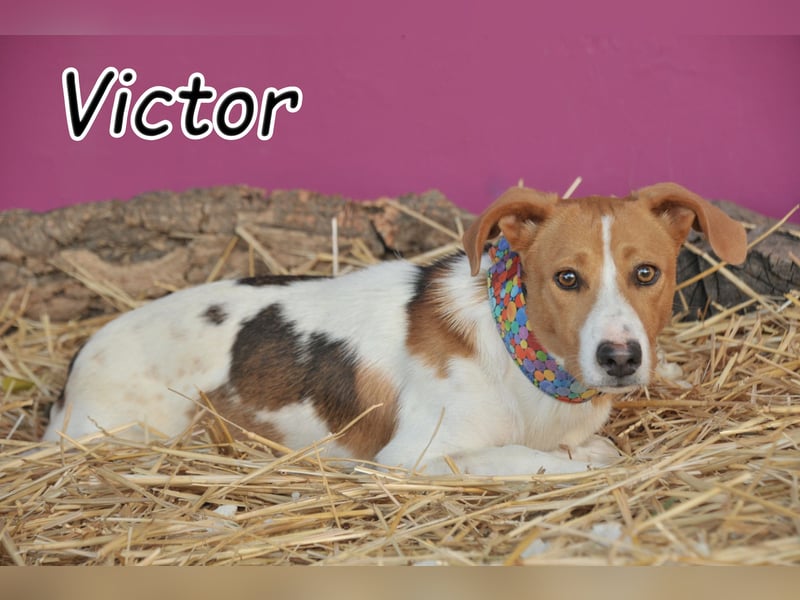Darf Victor bei Ihnen er selbst sein?