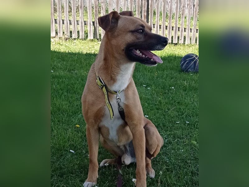 Teddy wartet schon so lange!