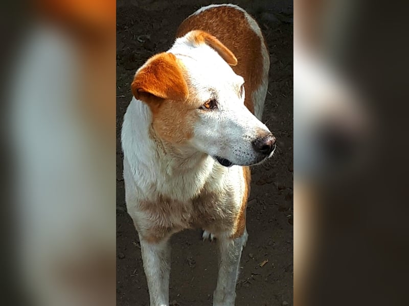 Rocco - ein Leben lang hinter Gitter, soll es das gewesen sein?