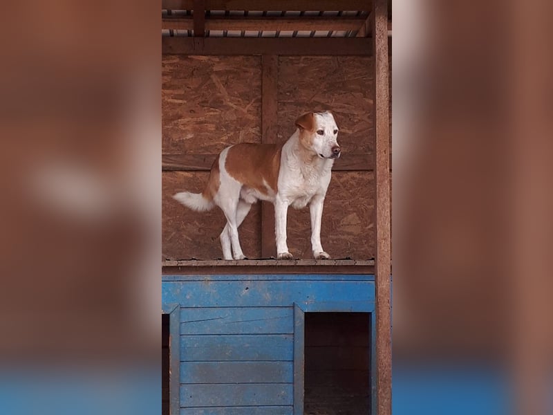 Rocco - ein Leben lang hinter Gitter, soll es das gewesen sein?