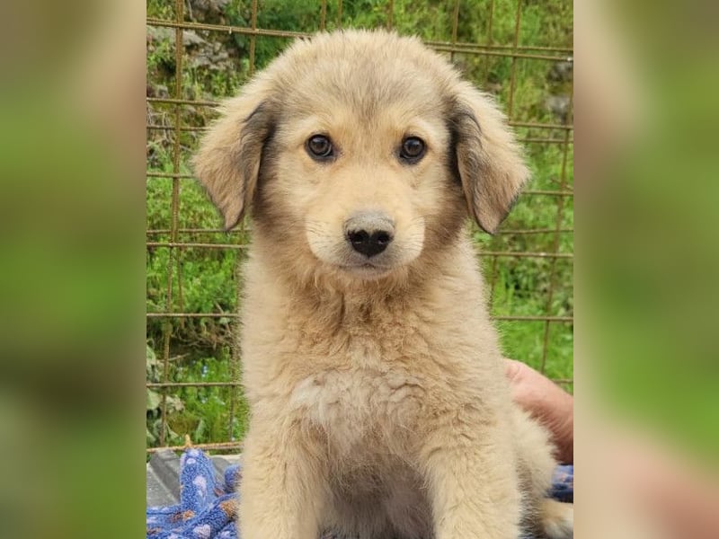Verspielter Caius ❤️ sucht Liebe + Spaß!