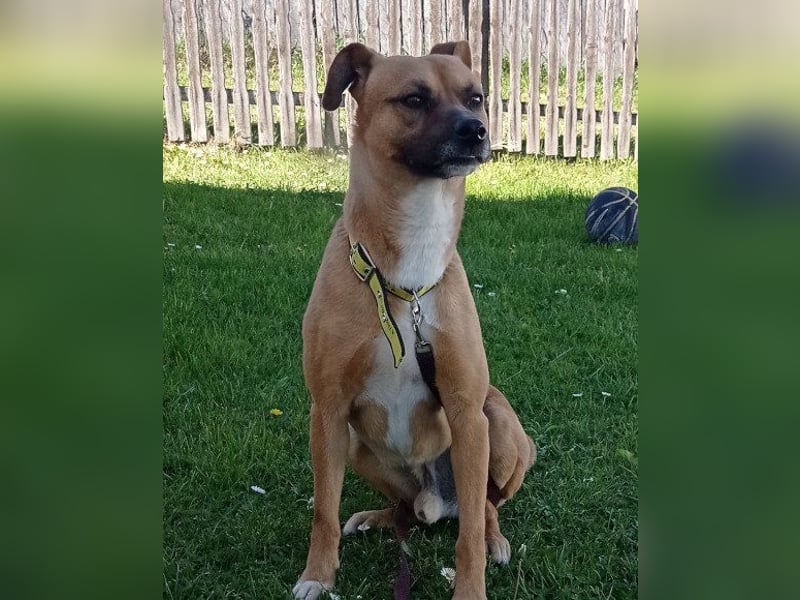 Teddy wartet schon so lange!