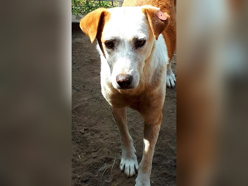 Rocco - ein Leben lang hinter Gitter, soll es das gewesen sein?