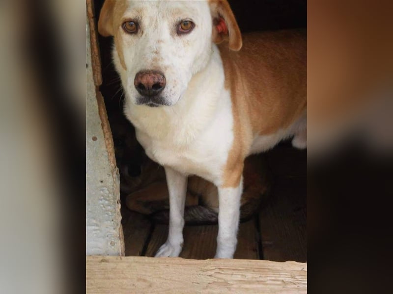Rocco - ein Leben lang hinter Gitter, soll es das gewesen sein?