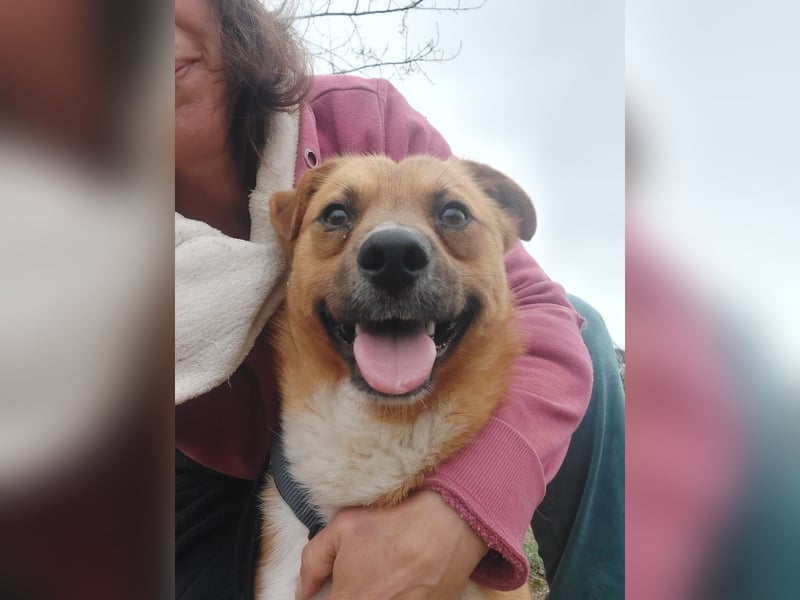 Jungspund Dylan sucht sein Glück - wer zeigt ihm die Welt