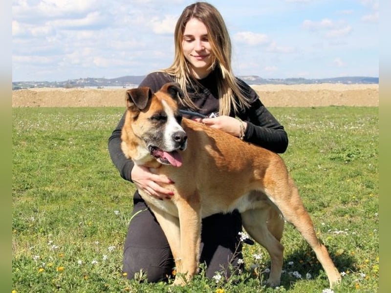 Bobbie - vor Freude strahlen sollen seine Augen