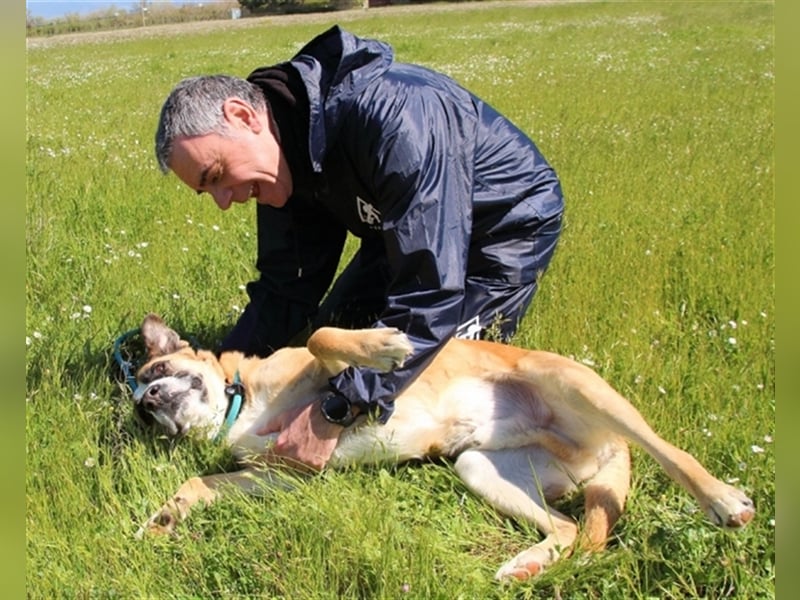 Bobbie - vor Freude strahlen sollen seine Augen