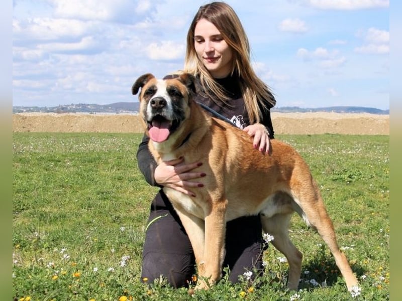 Bobbie - vor Freude strahlen sollen seine Augen
