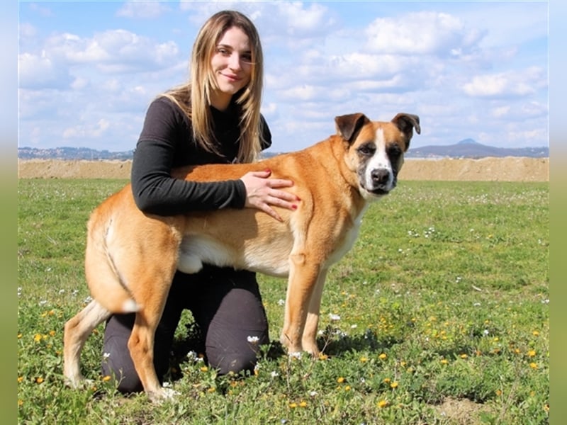 Bobbie - vor Freude strahlen sollen seine Augen