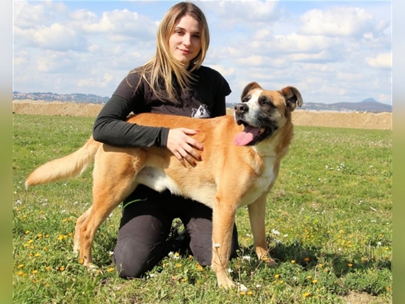 Bobbie - vor Freude strahlen sollen seine Augen