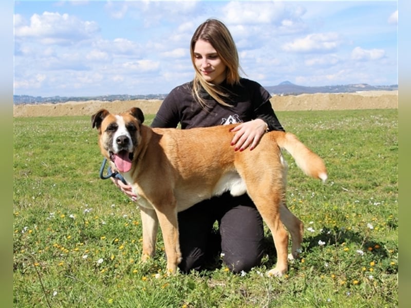 Bobbie - vor Freude strahlen sollen seine Augen