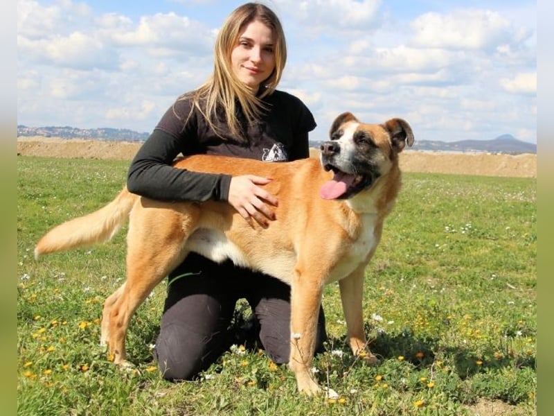 Bobbie - vor Freude strahlen sollen seine Augen