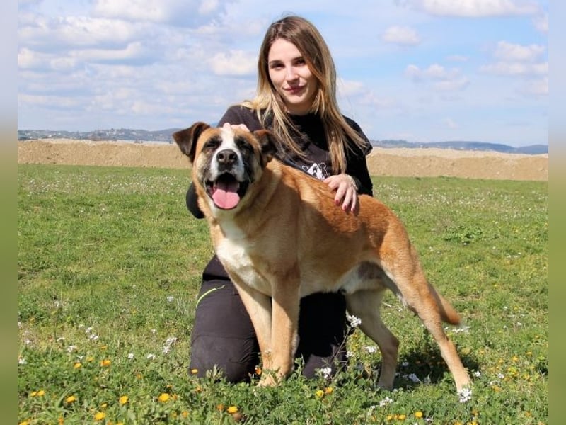Bobbie - vor Freude strahlen sollen seine Augen