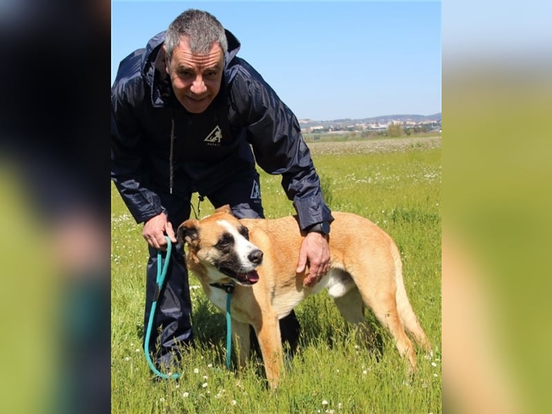 Bobbie - vor Freude strahlen sollen seine Augen