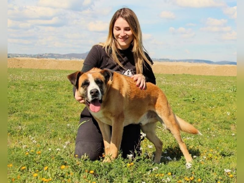 Bobbie - vor Freude strahlen sollen seine Augen