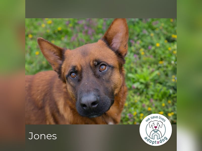Jones: Starke Seele, sanftes Herz