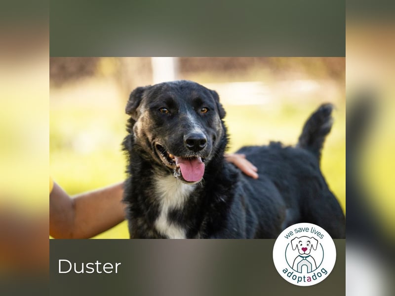 Duster: Vorsichtiger Gentleman