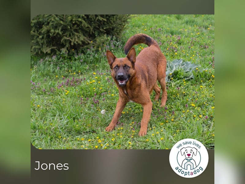 Jones: Starke Seele, sanftes Herz