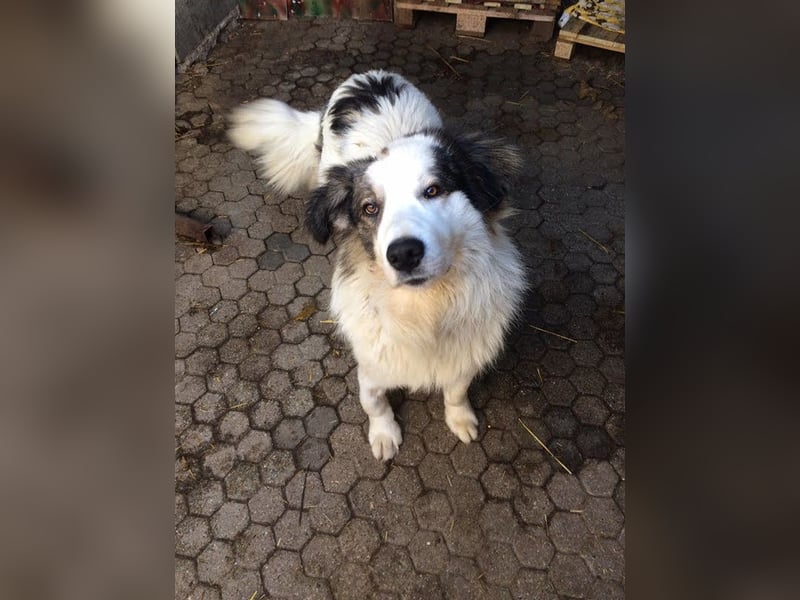 Hero: Braucht einen Superhelden