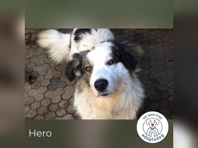Hero: Braucht einen Superhelden