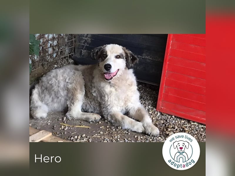 Hero: Braucht einen Superhelden