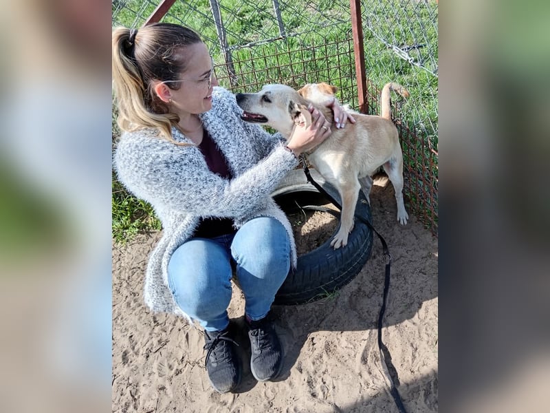 Fear sucht ein liebevolles Zuhause