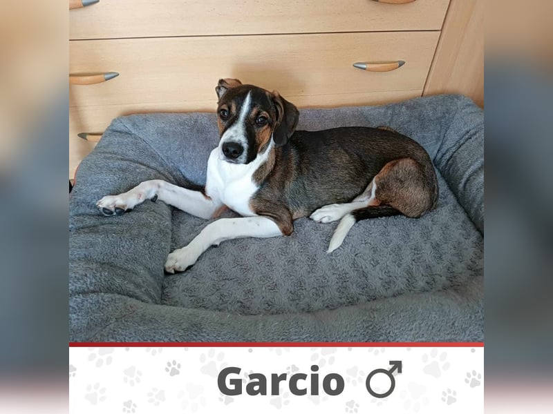GARCIO ❤️  wartet in 30171 Hannover auf Dich
