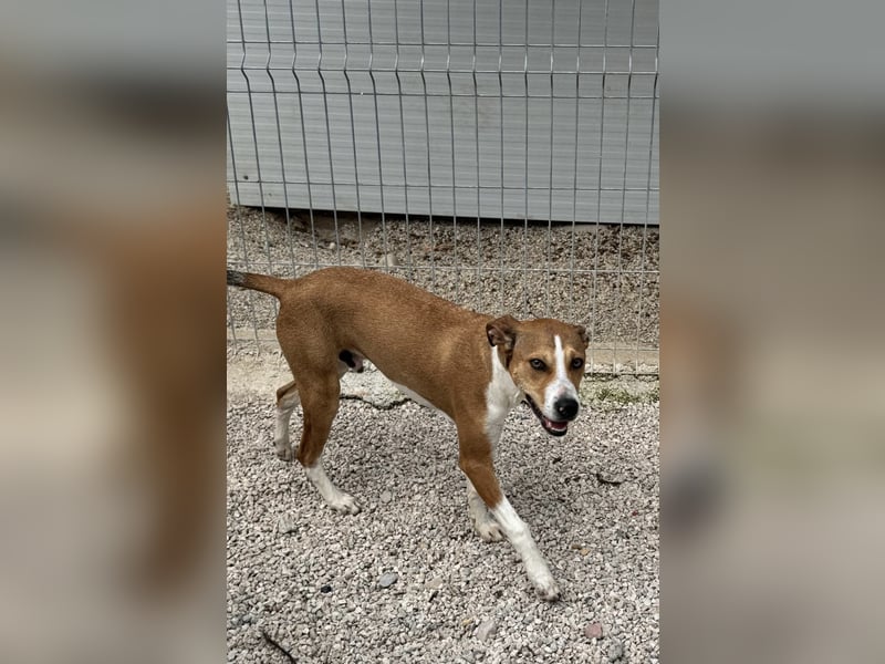 Marley, freundlich und sozial
