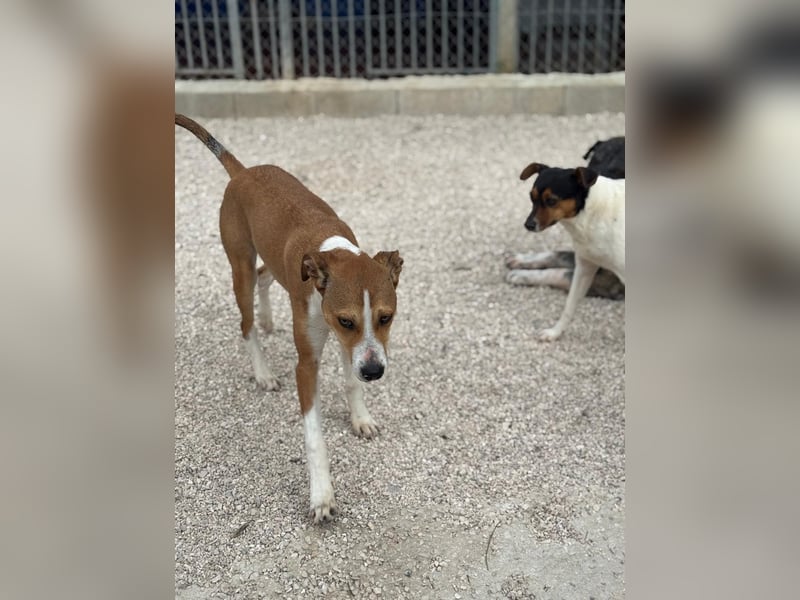Marley, freundlich und sozial