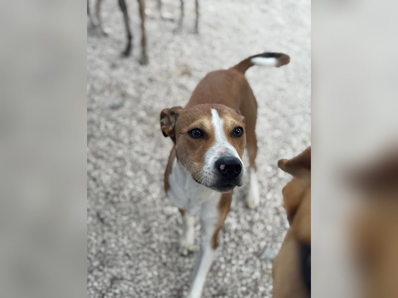 Marley, freundlich und sozial
